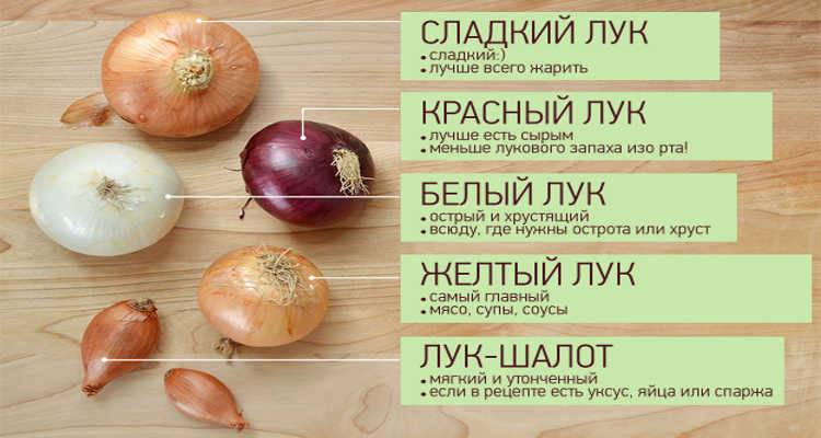 Можно ли есть репчатый лук сырой каждый день?