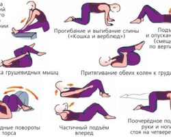 Физические упражнения для лечения геморроя — какие физические упражнения можно делать?