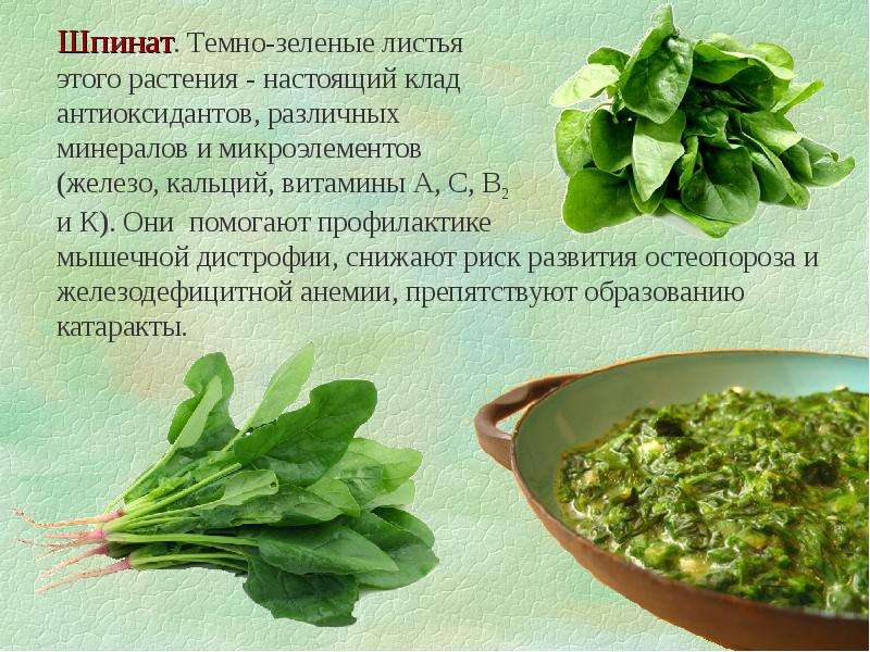 Можно ли есть шпинат сырым свежий при гастрите?