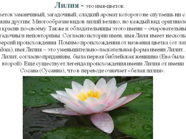 Женское имя Лилия: варианты имени. Как можно называть Лилию по-другому?