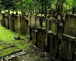 Снится ходила на кладбище и заблудилась, а потом вышла — трактовка сновидения