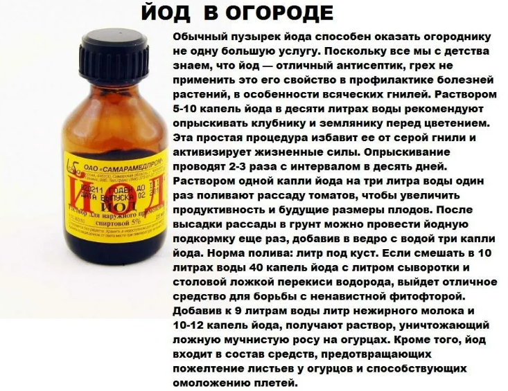 Принцип действия йода для рассады