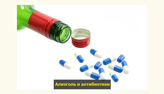 После алкоголя принимать антибиотики можно через 48 часов