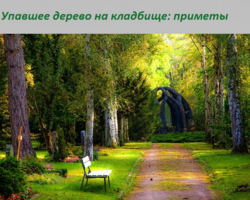 Дерево упало на могилу, на памятник на кладбище: примета