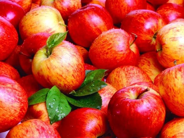 Яблоки подморозило на балконе: можно ли есть замерзшие яблоки? Как можно использовать подмороженные яблоки?