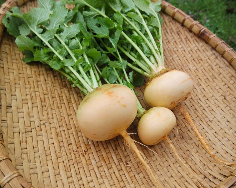 Iпппппппппппппппппппппппппппппппппввввввввввввввввввввввфеееееееееееееееееееееееееееееееееецццццццццццццццццццццццццццццц