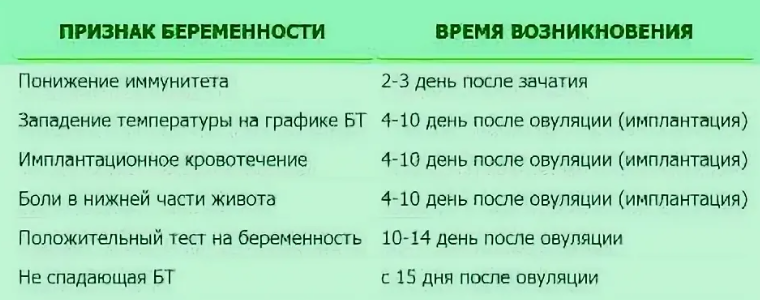 «особые приметы» первых недель беременности