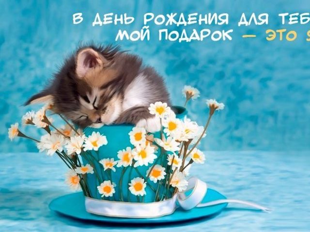 Шуточные пожелания — лучшая подборка