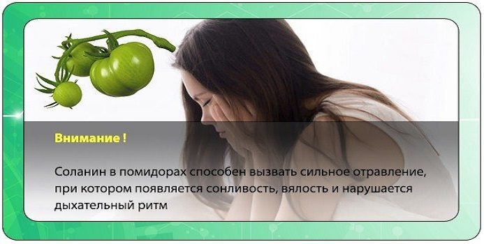 Соланин в зеленой части томатов