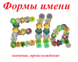 Женское имя Элла: варианты имени. Как можно называть Эллу по-другому?