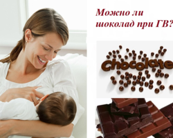 Почему кормящей маме нельзя есть шоколад и шоколадные конфеты при грудном вскармливании? Чем можно заменить шоколад и шоколадные конфеты кормящей маме?