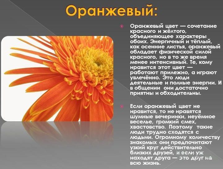 Влияние оранжевого цвета на жизнь и психику