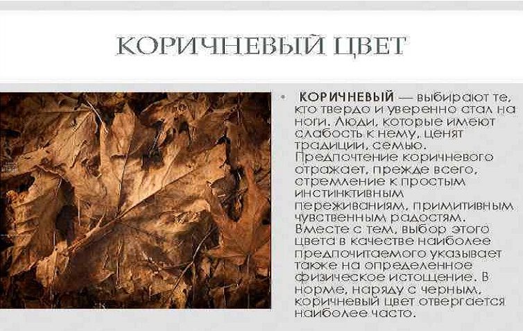 Когда выбирают коричневый цвет