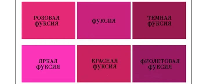 Фуксия