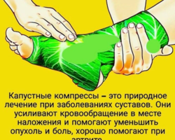 Зачем и куда прикладывают капустный лист? Как правильно прикладывать капустный лист, какой стороной, сколько времени держать?