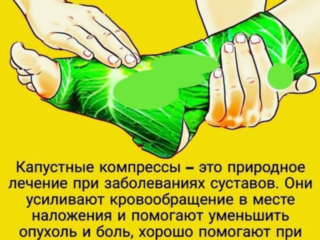 Зачем и куда прикладывают капустный лист? Как правильно прикладывать капустный лист, какой стороной, сколько времени держать?