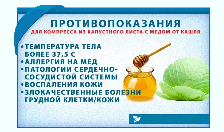 Противопоказания для применения капустных листьев