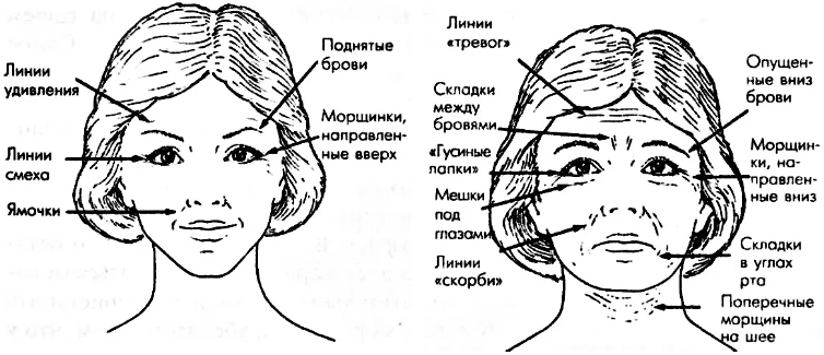 Горизонтальные морщины на лбу указывают на то, какое эмоциональное состояние у человека