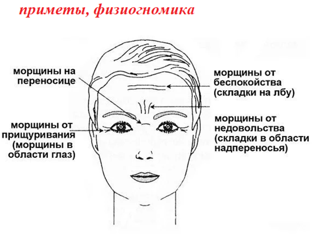 Морщины на переносице у женщин и мужчин: народные приметы, что означают в физиогномике?