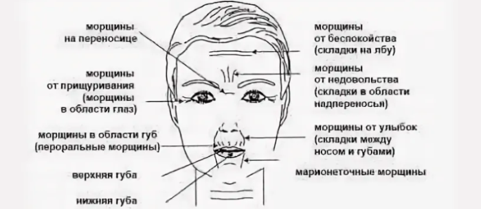 Морщины на переносице