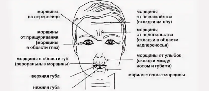 Морщины на переносице