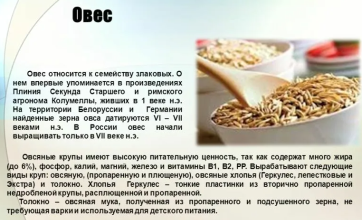 Полезные свойства овса