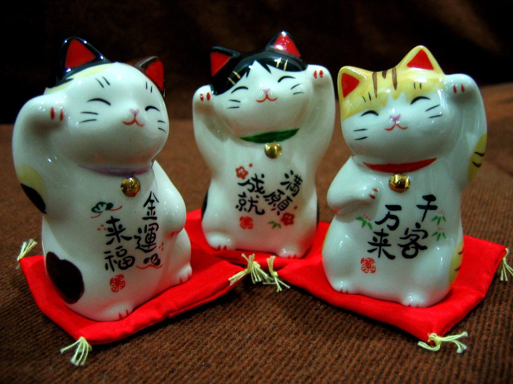 Котики удачи