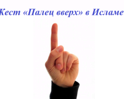 Жест «Палец вверх» в Исламе: значение, как сделать правильно? Средний палец вверх в Исламе: можно ли, какие жесты еще запрещены?