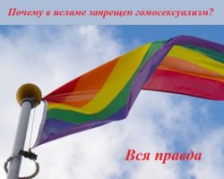 Вся правда о гомосексуализме в мусульманстве, в Исламе: почему запрещен, прощает ли Аллах? Отношение к ЛГБТ мусульман, в Исламе: можно ли поддерживать?