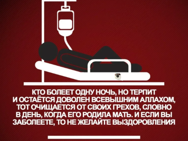 Почему Аллах дает болезни человеку: является ли болезнь мусульманина наказанием или очищением от грехов по Исламу? Аллах дает болезни: как излечиться в Исламе?