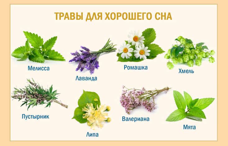 Травы для хорошего сна