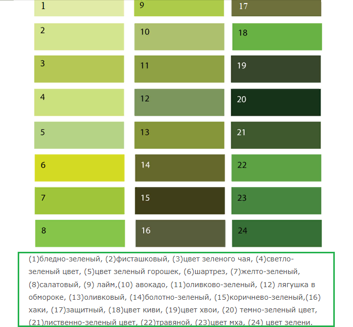 Теплые оттенки зеленого цвета