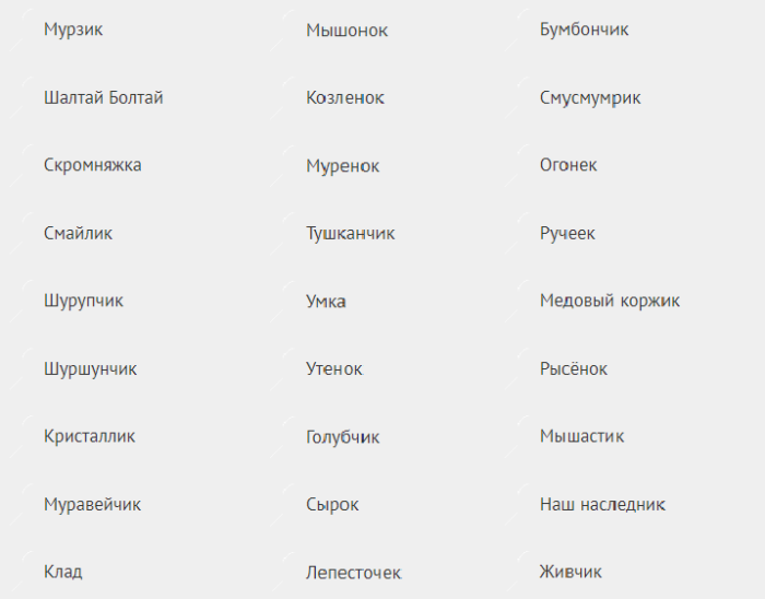 Так можно называть сыновей ласково