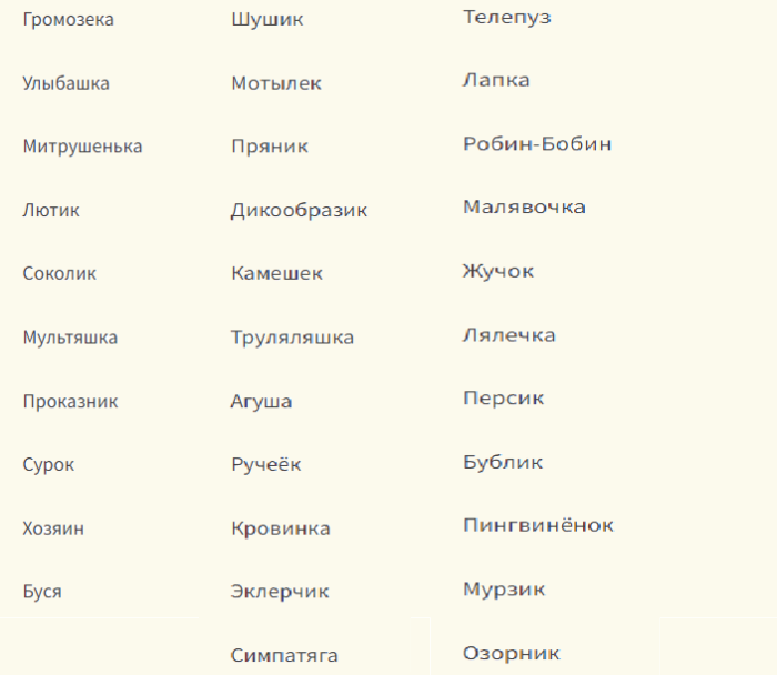 Так можно ласково называть сыновей непосед