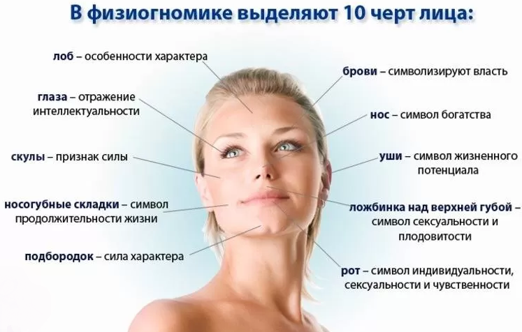Физиогномика и характер
