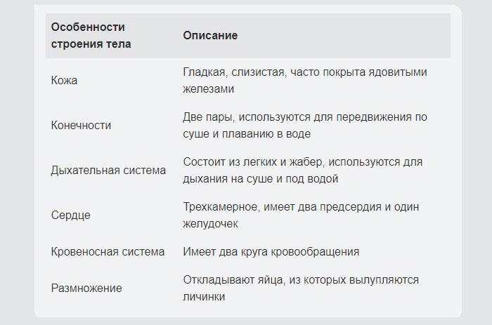 Таблица с признаками типа земноводных как обитателей воды