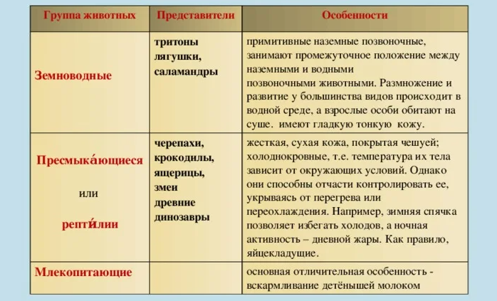 Отличия земноводных от других наземных позвоночных — млекопитающих, пресмыкающихся