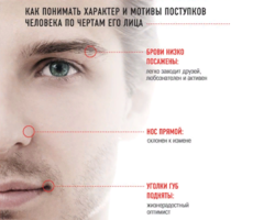 Физиогномика: какой характер имеет человек с круглой, прямоугольной, квадратной, треугольной, овальной формой лица: примеры с описанием, фото
