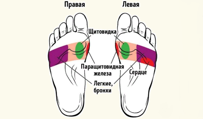 Правила массажа стопы