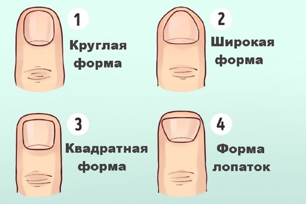 Форма пальцев