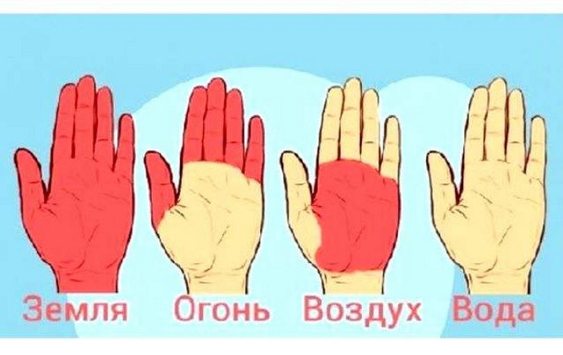 Формы рук