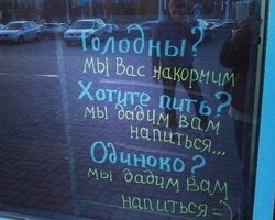 Прикольные надписи в кафе, ресторанах, столовых: текст, фразы