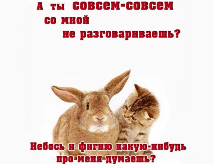 «давай мириться» — красивая картинка