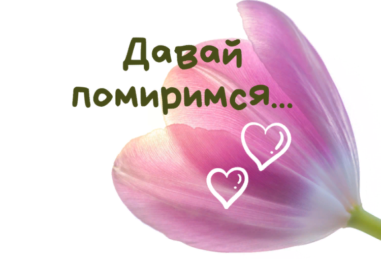 «давай мириться» — красивая картинка
