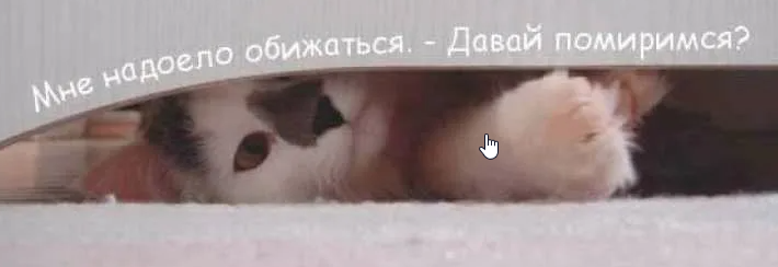 Спросите картинкой у подруги «давай мириться?»