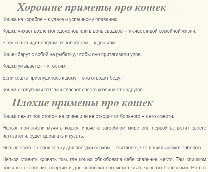 Популярные приметы про кошек