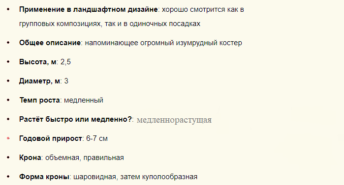 Описание низкорослого хвойника для дачи