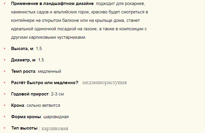 Описание низкорослого хвойника для дачи