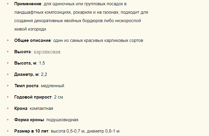 Описание низкорослого хвойника для дачи