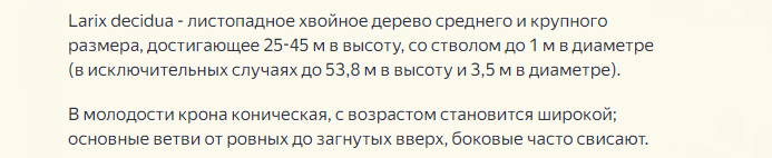 Описание низкорослого хвойника для дачи